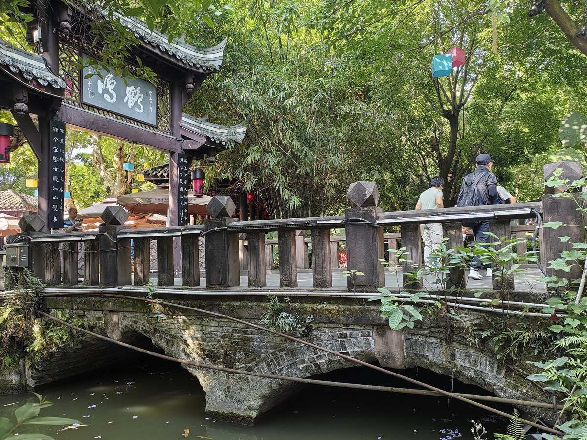 Chengdu 3-Day Panda & Leisure Journey - Photo 3