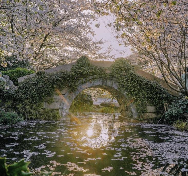 Hangzhou 3-Day Journey - Photo 6